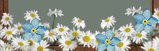 https://upforme.ru/uploads/0019/76/e9/3/27484.png