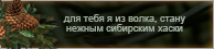 https://upforme.ru/uploads/0019/76/e9/3/325130.png