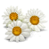 https://upforme.ru/uploads/0019/76/e9/3/32559.png