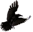 https://upforme.ru/uploads/0019/76/e9/3/41431.png