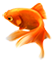 https://upforme.ru/uploads/0019/76/e9/3/436129.png