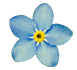 https://upforme.ru/uploads/0019/76/e9/3/52378.png
