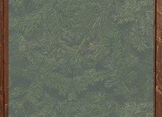 https://upforme.ru/uploads/0019/76/e9/3/837267.png