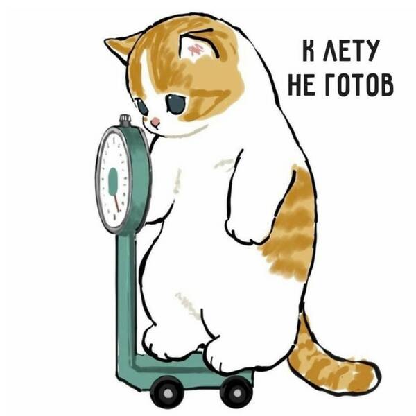 https://upforme.ru/uploads/0019/82/12/16/t233598.jpg