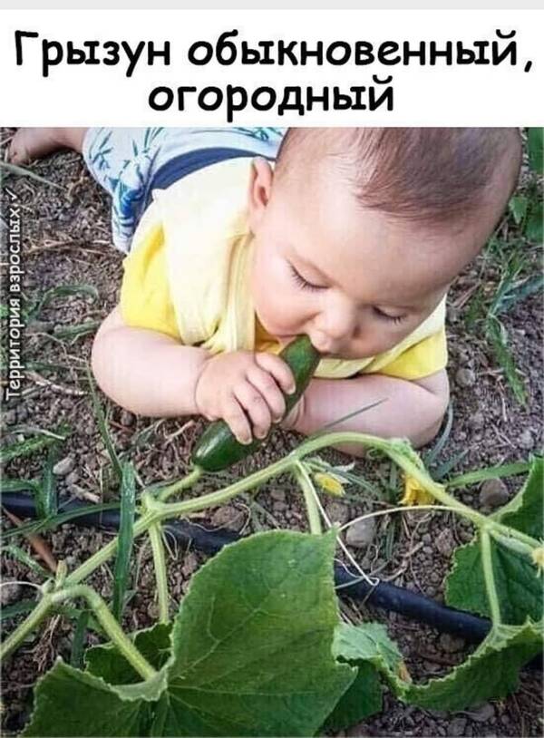 https://upforme.ru/uploads/0019/82/12/16/t253271.jpg