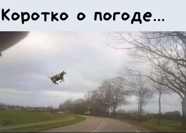 https://upforme.ru/uploads/0019/82/12/16/t313091.jpg