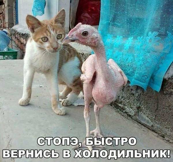 https://upforme.ru/uploads/0019/82/12/16/t346761.jpg