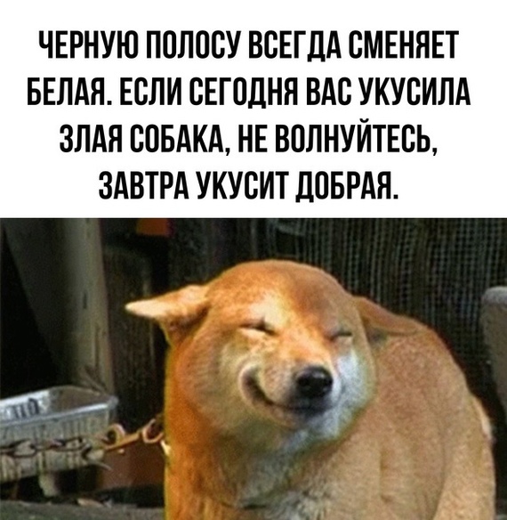 https://upforme.ru/uploads/0019/82/12/16/t603963.jpg