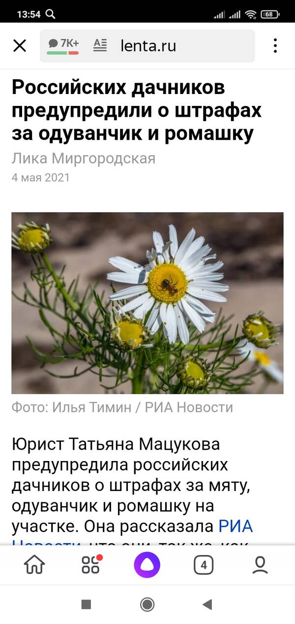 https://upforme.ru/uploads/0019/82/12/16/t610605.jpg