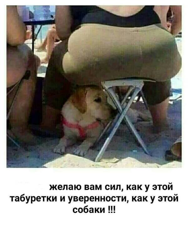 https://upforme.ru/uploads/0019/82/12/16/t62172.jpg