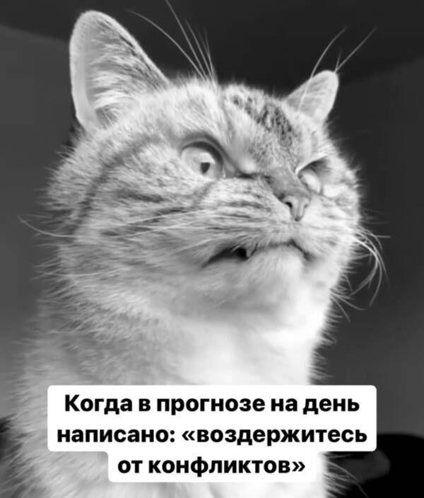 https://upforme.ru/uploads/0019/82/12/16/t671893.jpg