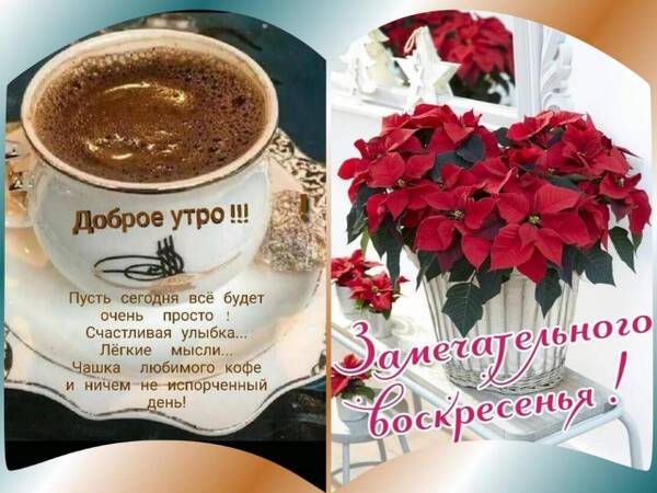 https://upforme.ru/uploads/0019/82/12/16/t883959.jpg