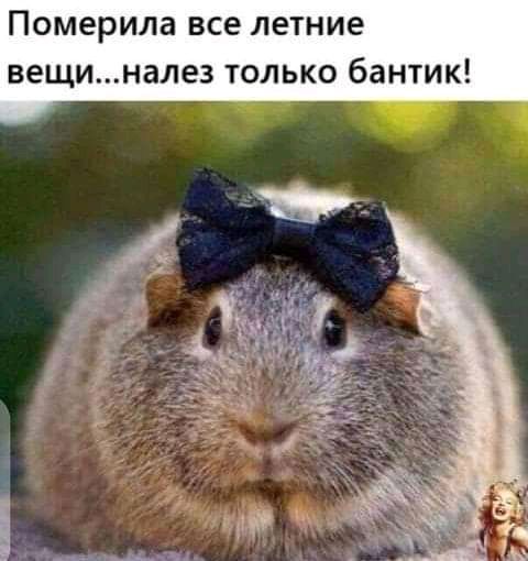 https://upforme.ru/uploads/0019/82/12/16/t884480.jpg