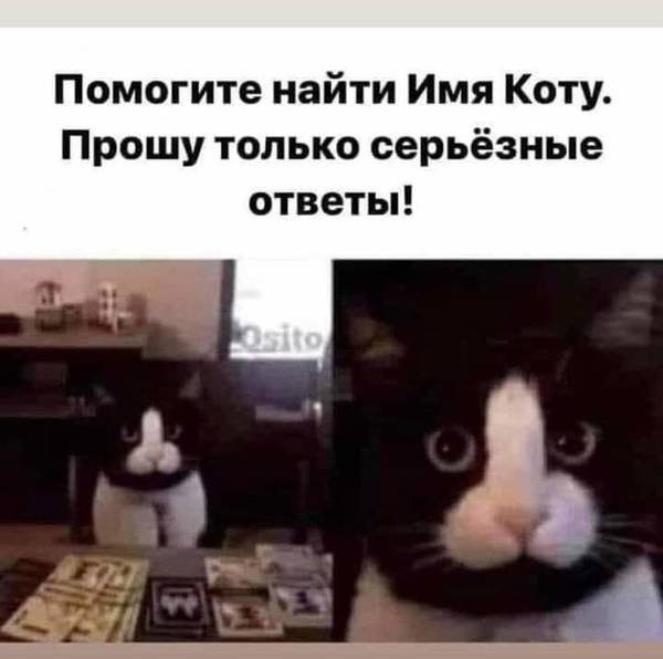https://upforme.ru/uploads/0019/82/12/16/t913156.jpg