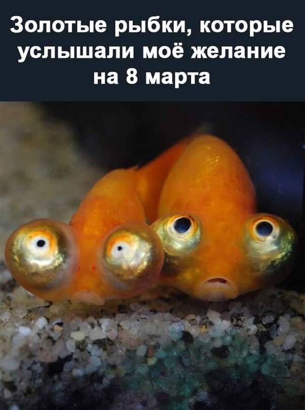 https://upforme.ru/uploads/0019/82/12/16/t962530.jpg