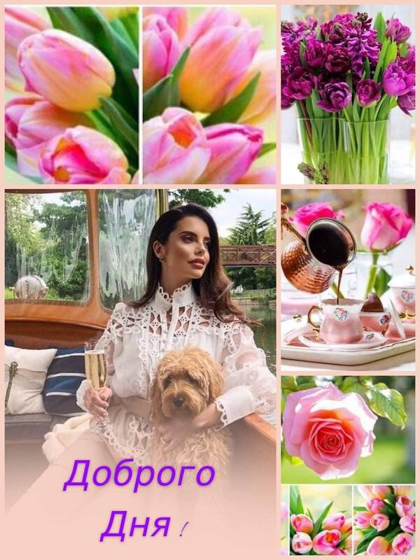 https://upforme.ru/uploads/0019/82/12/22/t262248.jpg