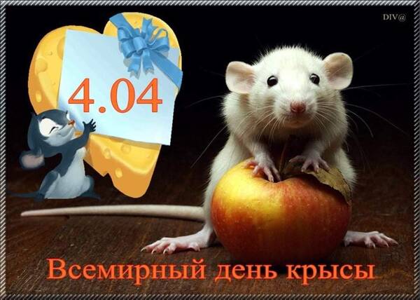 https://upforme.ru/uploads/0019/82/12/22/t370680.jpg