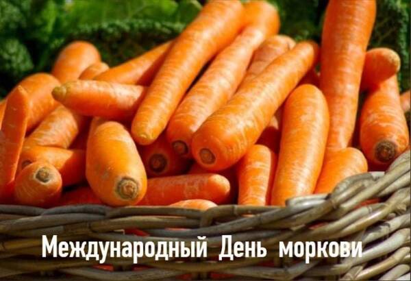 https://upforme.ru/uploads/0019/82/12/22/t546161.jpg