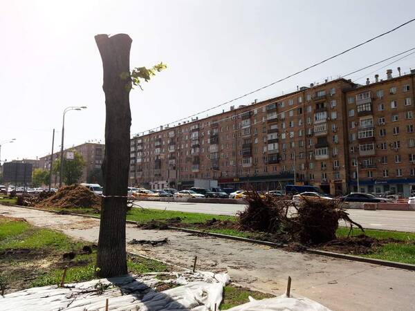 https://upforme.ru/uploads/0019/82/12/22/t587188.jpg