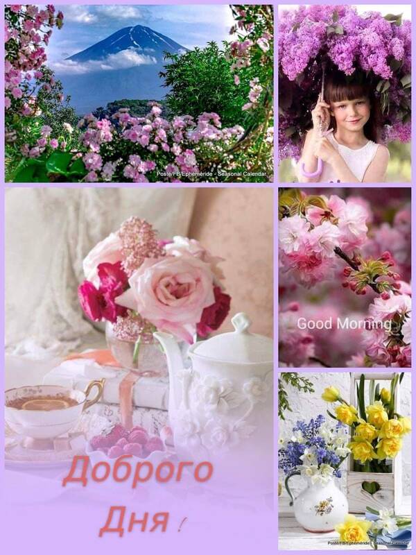 https://upforme.ru/uploads/0019/82/12/22/t701056.jpg