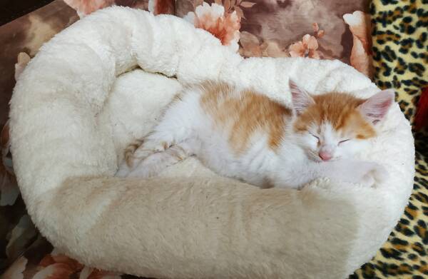 https://upforme.ru/uploads/0019/82/12/22/t718517.jpg