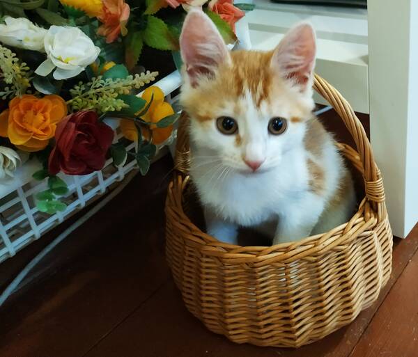 https://upforme.ru/uploads/0019/82/12/22/t749564.jpg