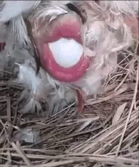 https://upforme.ru/uploads/0019/82/12/22/t750224.jpg