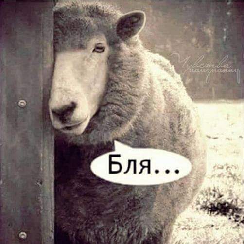 https://upforme.ru/uploads/0019/82/12/22/t81002.jpg