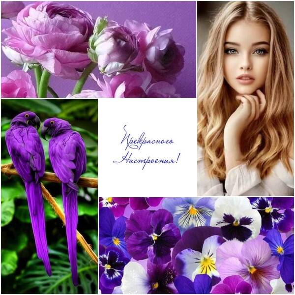 https://upforme.ru/uploads/0019/82/12/22/t879151.jpg