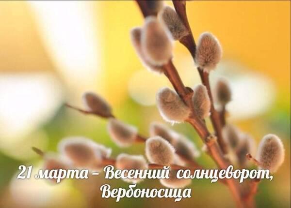 https://upforme.ru/uploads/0019/82/12/22/t897882.jpg