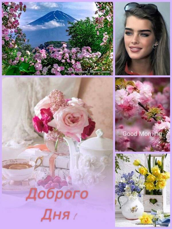 https://upforme.ru/uploads/0019/82/12/22/t932190.jpg