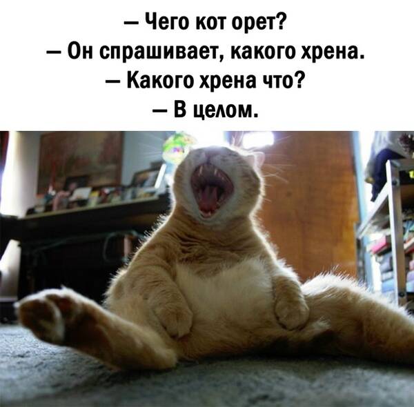 https://upforme.ru/uploads/0019/82/12/233/t678607.jpg