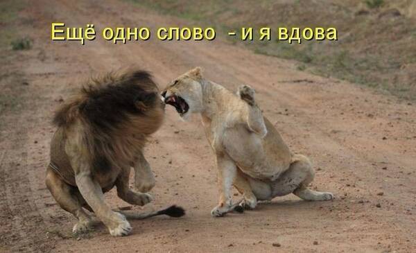 https://upforme.ru/uploads/0019/82/12/233/t987680.jpg
