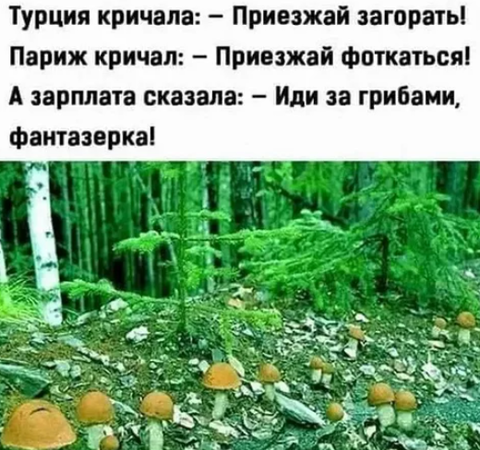 https://upforme.ru/uploads/0019/82/12/279/t74582.png