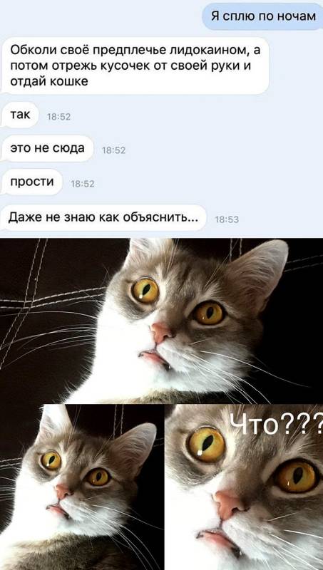 https://upforme.ru/uploads/0019/82/12/369/t126380.jpg