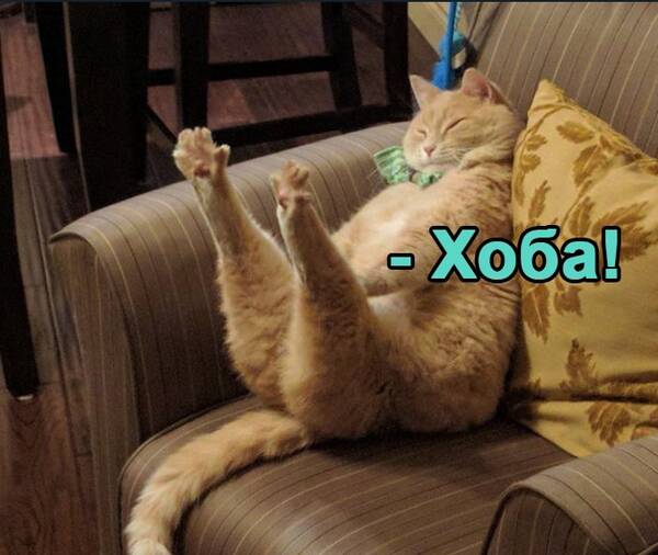 https://upforme.ru/uploads/0019/82/12/369/t194686.jpg