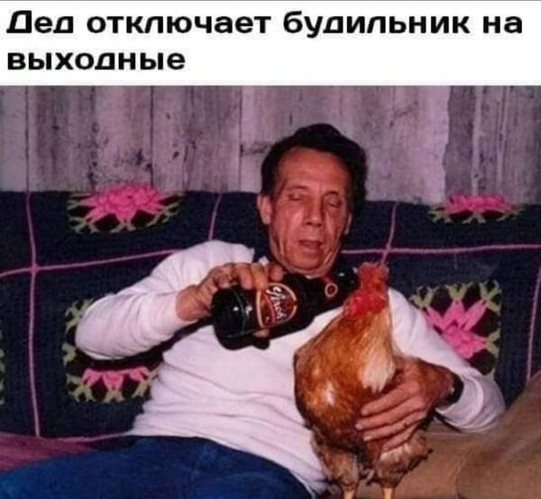https://upforme.ru/uploads/0019/82/12/369/t195154.jpg