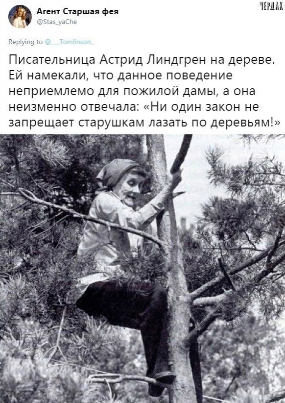 https://upforme.ru/uploads/0019/82/12/369/t253871.jpg