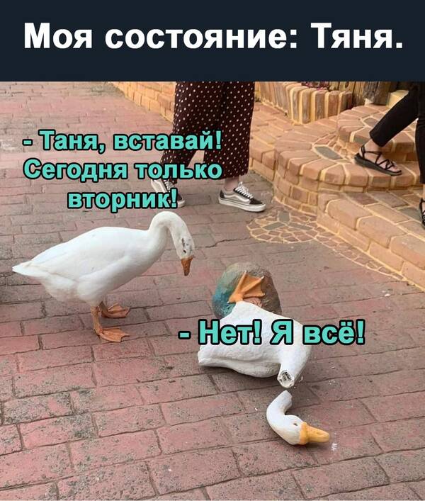 https://upforme.ru/uploads/0019/82/12/369/t280218.jpg