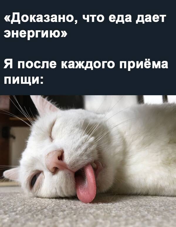 https://upforme.ru/uploads/0019/82/12/369/t28411.jpg