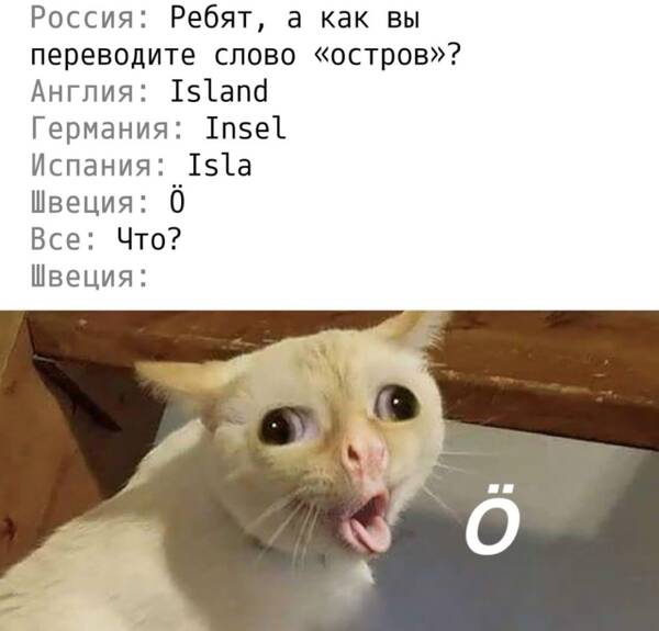 https://upforme.ru/uploads/0019/82/12/369/t296142.jpg