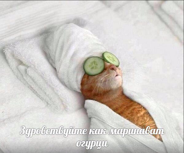 https://upforme.ru/uploads/0019/82/12/369/t332295.jpg