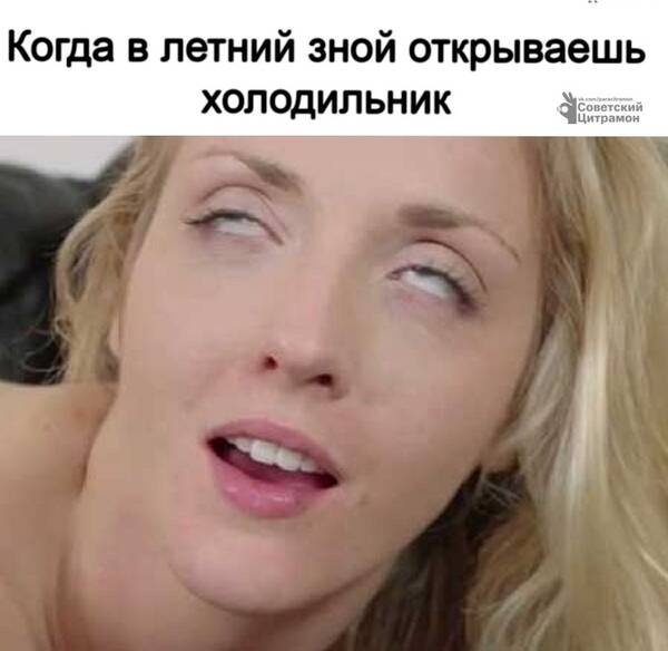 https://upforme.ru/uploads/0019/82/12/369/t34063.jpg