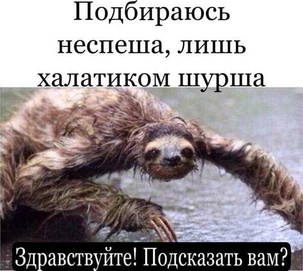 https://upforme.ru/uploads/0019/82/12/369/t441129.jpg