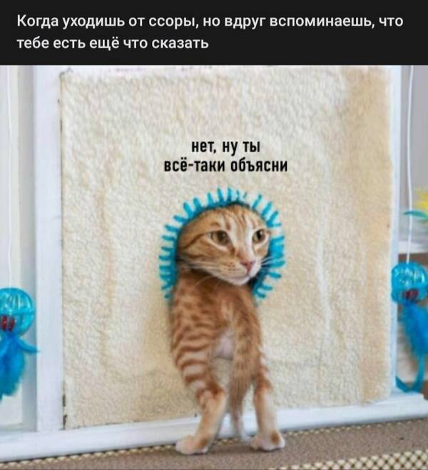 https://upforme.ru/uploads/0019/82/12/369/t463896.jpg