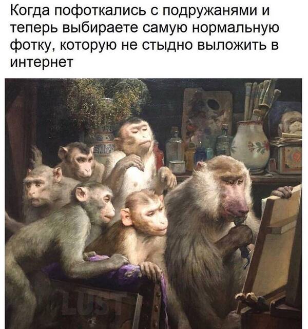 https://upforme.ru/uploads/0019/82/12/369/t485673.jpg