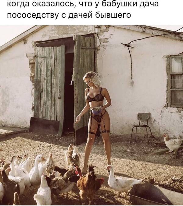 https://upforme.ru/uploads/0019/82/12/369/t503944.jpg