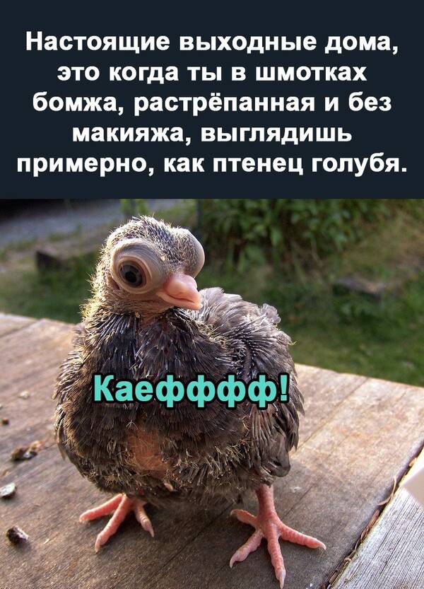 https://upforme.ru/uploads/0019/82/12/369/t560571.jpg
