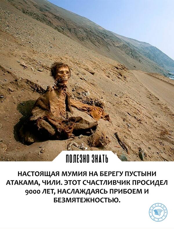 https://upforme.ru/uploads/0019/82/12/369/t58323.jpg