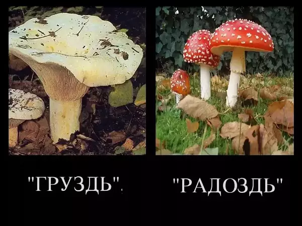 https://upforme.ru/uploads/0019/82/12/369/t592558.webp